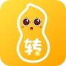 花生转